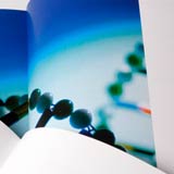 ICGEB Annual Report
